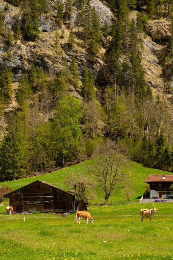 Apartmán Hafod A Hendre Lauterbrunnen Exteriér fotografie